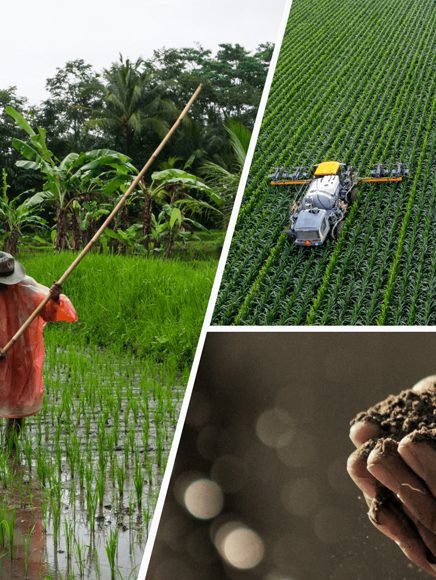 Agriculture and Farming: rice paddies, a crop-spraying drone and freshly harvested soil