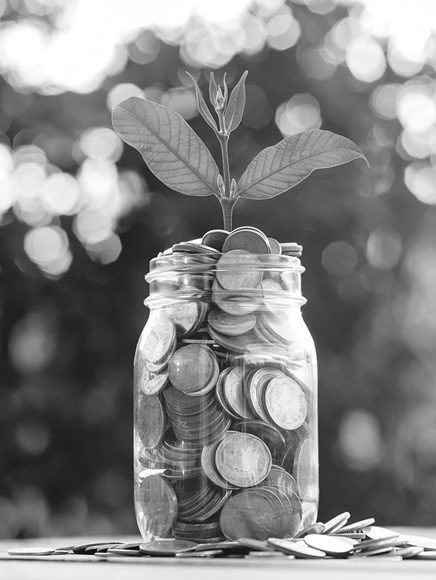 Nonprofits and Associations: jar of coins with a seedling growing from it