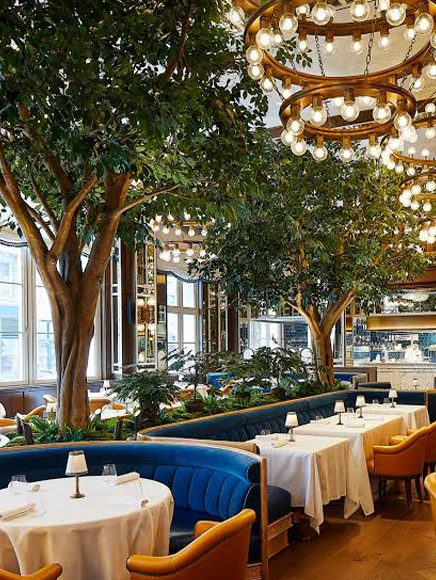 Restaurants and Dining: elegant restaurant dining room with trees and soft lighting