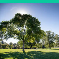 Effective affordable marketing from Diversifyer for Parks related businesses